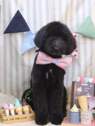 20250529もあちゃん